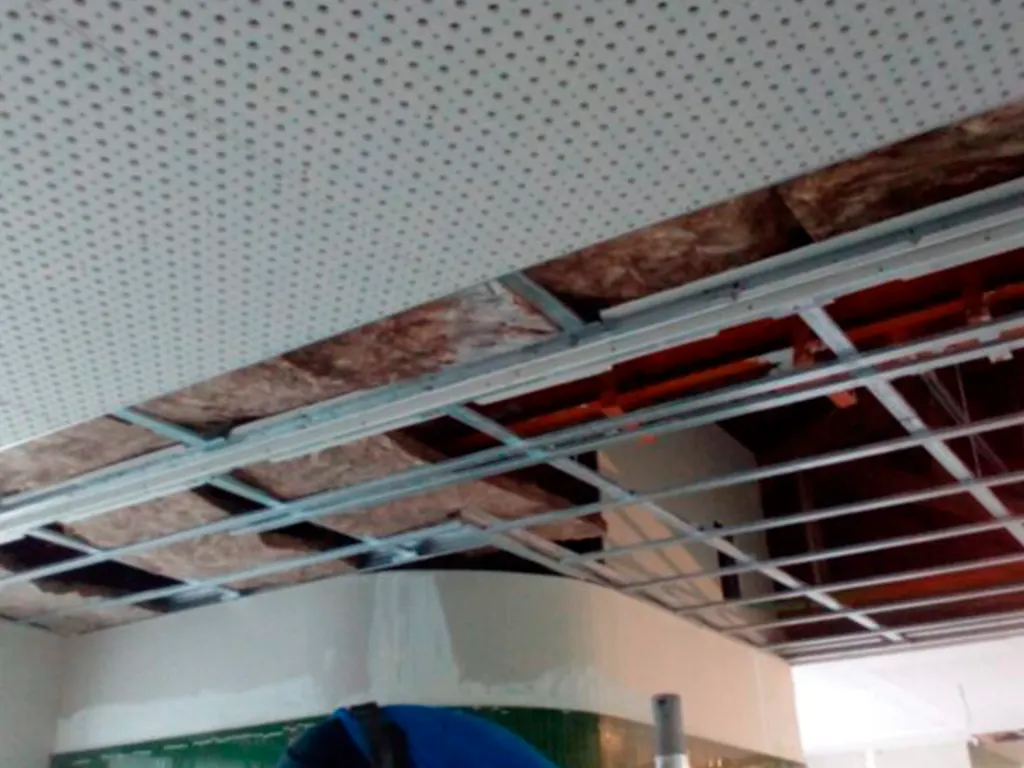 reforma de eficicios locales municipales 10