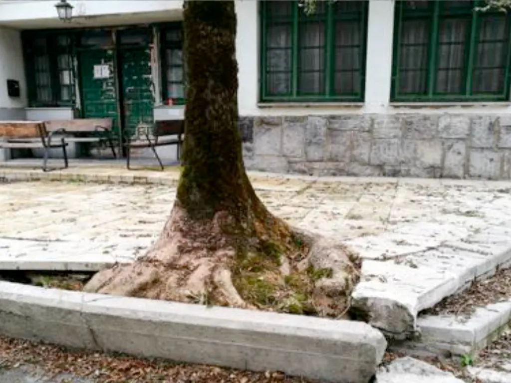 reforma de eficicios locales municipales 19