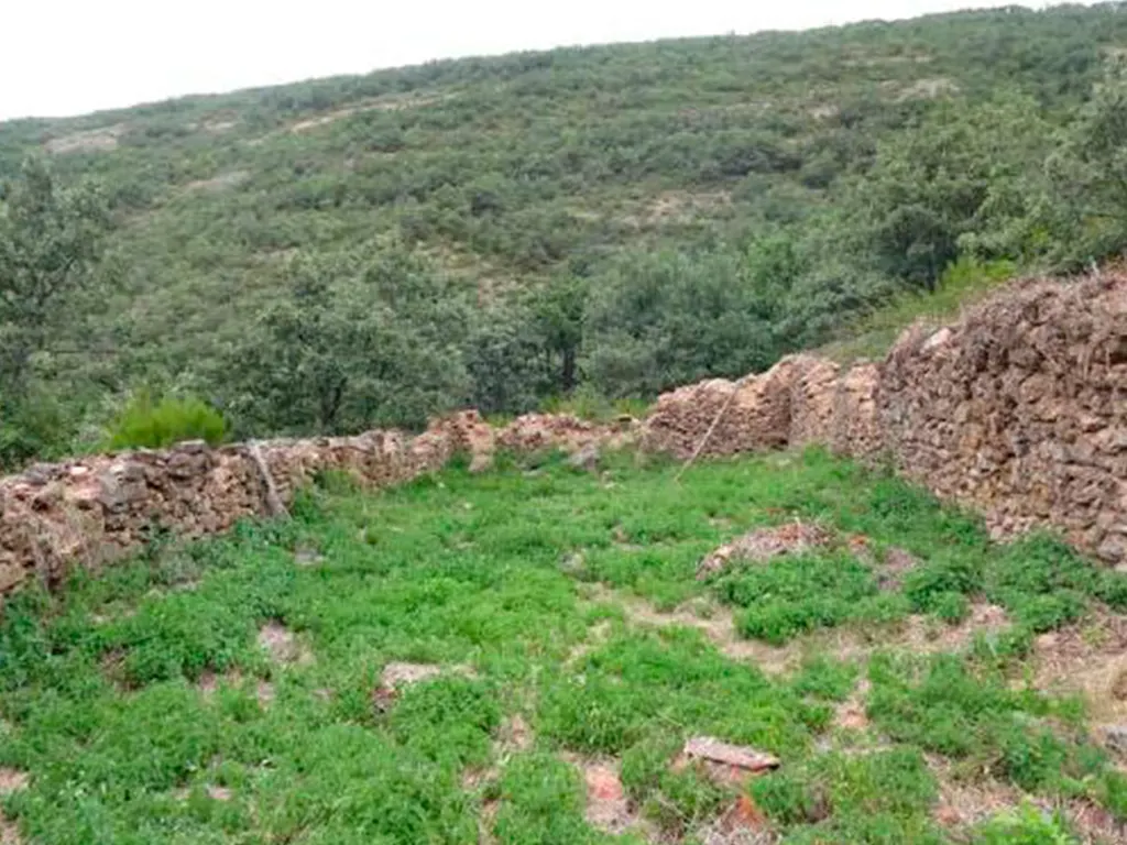 rehabilitacion de caban╠aa ganadera 18