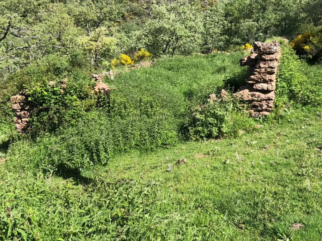 rehabilitacion de caban╠aa ganadera 19