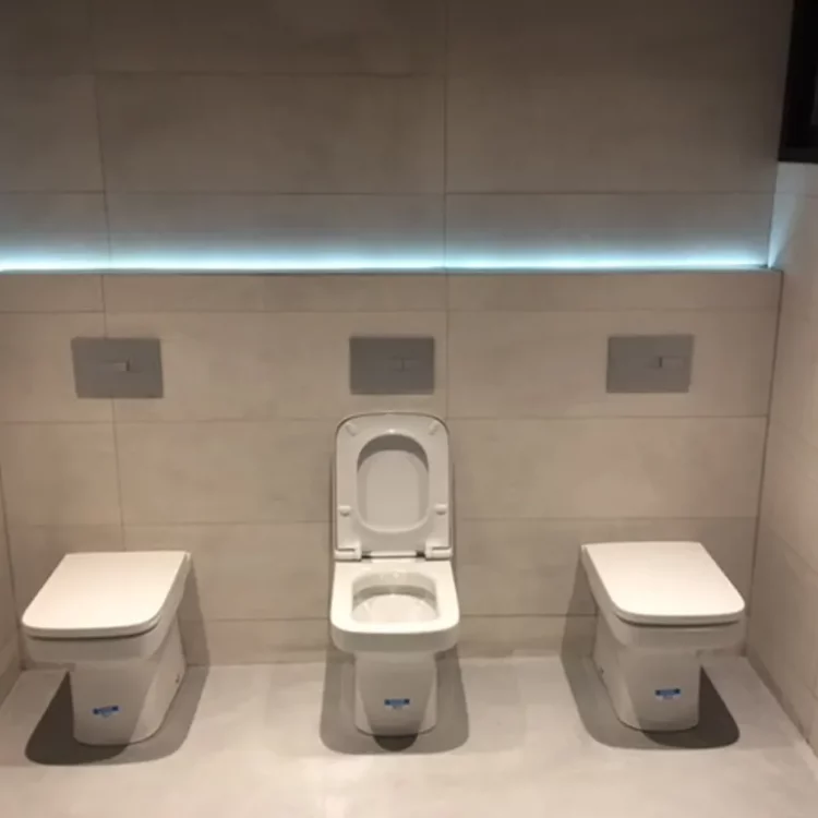 trabajos singulares 7